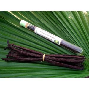 Tube de gousses de vanille noire